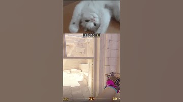 TOO EASY FOR ME! | #counterstrike2 #csgo #cs2moments #csgoclips #shorts #gaming