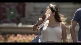 Canicules à répétition, sécheresse… Ce qu'il faut retenir du bilan estival de Météo-France