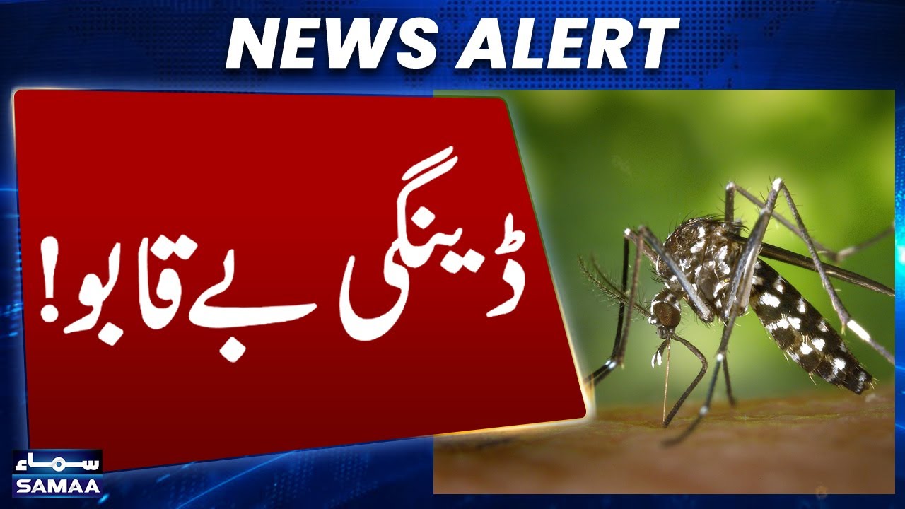 Dengue Out of Control in Faisalabad — Urgent Health Alert! | Samaa Digital