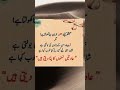 guft goo k liya insan mooh apna khoolta ha | golden words | beautiful quotes