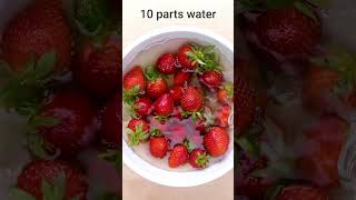 How to clean your strawberries properly #shorts  #blossom #diy