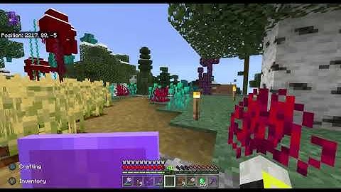 Minecraft Okapiverse Highlight: Wandering Trader Llama Speed