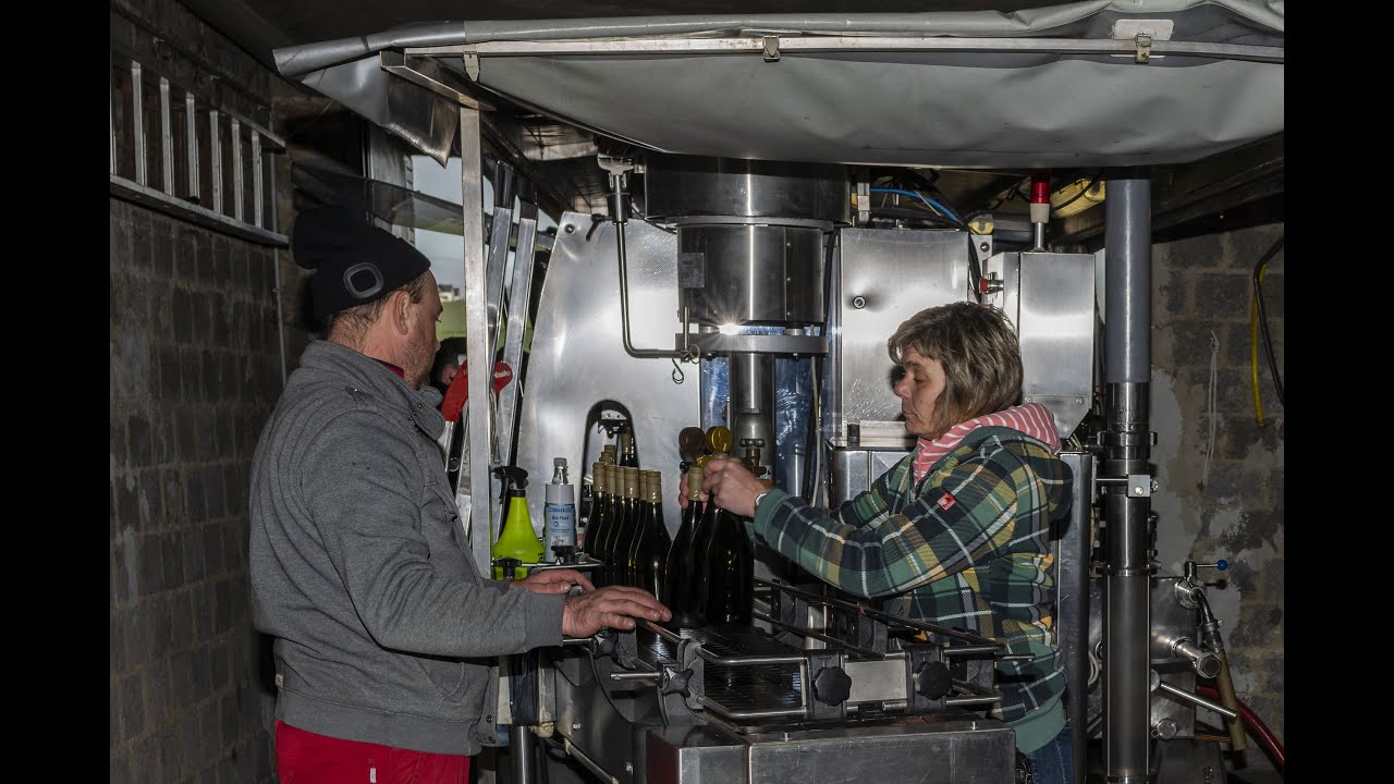 Weinabfüllung bei der Winzerfamilie Boujong in Brauneberg