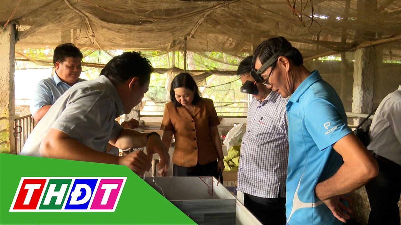 Khảo sát mô hình nuôi dúi ở xã Bình Thành | Trang địa phương - 28/2/2026 | THDT