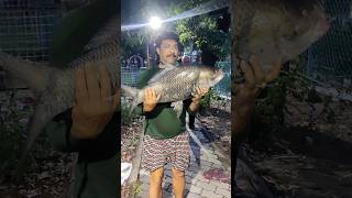 leck twon 1no lake sit no.....20.....big katla 11kg