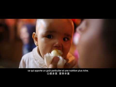 Vidéo: Découvrir les aliments de la province du Xinjiang
