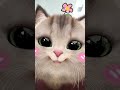 kismt hi kharab h 🤦😂#catvideos#viralvideo#trendingreels#trendingshorts#cutekittyworld#funny#selflove