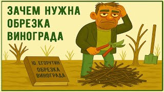 картинка: 🍇 Даже не думай начинать!  Три кита правильной обрезки - плодовое звено, изгиб и короткая обрезка.