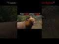 The undefeated lion in the history #viral #shorts #youtube #video
