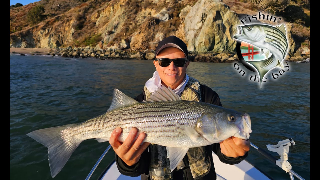Island hopping for Striped Bass Striper fishing San Francisco Bay