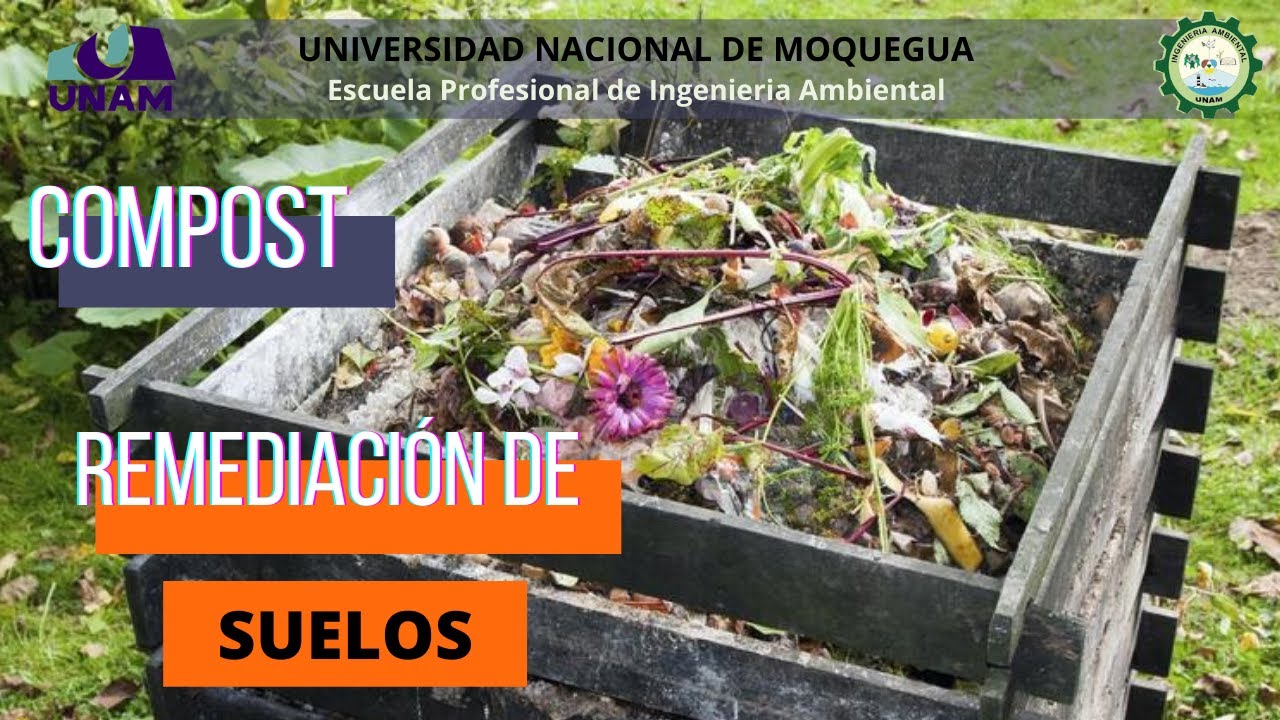 Aplicación del compost en la biorremediación de suelos. - YouTube