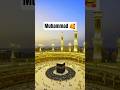 Muhammad Muhammadﷺ Muhammad Youtubeshorts Shortsviral Trendingshorts