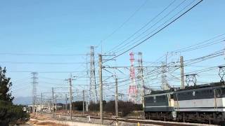 ［JR貨物］単配6794レ　EF65-2095+EF65-1072(ムド)　オカポン　14/1/29