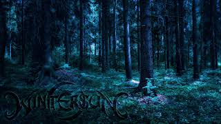 Wintersun - The Forest That Weeps | Metal Mix | fan mix