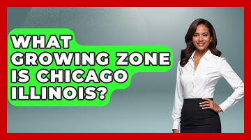 What Growing Zone Is Chicago Illinois? - The Midwest Guru