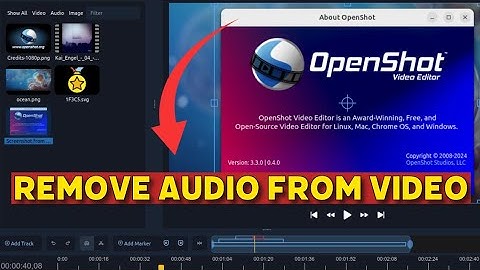 How to Remove Audio from Video in Openshot 2025?