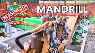 Mandrill Mayhem Chessington Close Season