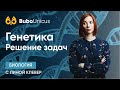 Генетика. Решение задач  | БИОЛОГИЯ ЕГЭ | Лина Клевер