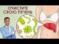 ОЧИСТИТЕ СВОЮ ПЕЧЕНЬ