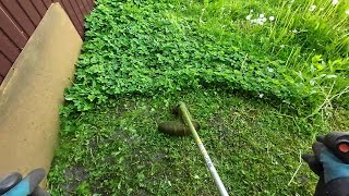Stihl FS 56 in Action Cutting Grass with Weed Eater String Trimmer Brush cutter POV part 3