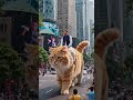 #ImranKhan #AIFunny #FunnyAI #AIVideo #AIMemes #FunnyShorts #ViralShorts #Pakistan #Comedy #Cat