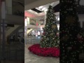 アラモアナショッピングセンターのクリスマスツリー！メレカリキマカ！Mele Kalikimaka！