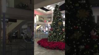 アラモアナショッピングセンターのクリスマスツリー！メレカリキマカ！Mele Kalikimaka！