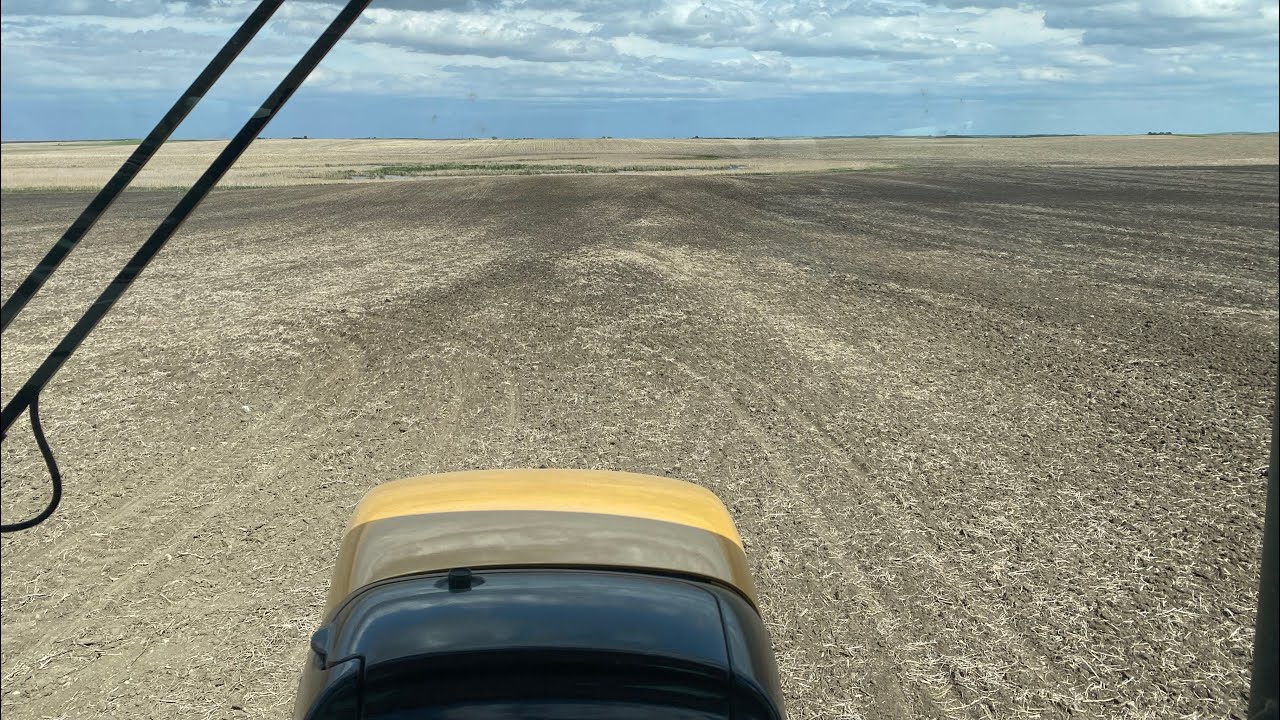 The Start & Finish of Corn 