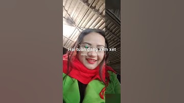 pallet gỗ rẻ sll, thùng rác cá heo chim cánh cụt , ...xe nâng pallet 0905568292