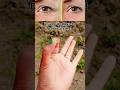 best mudra #yoga #mudra #darkcircles#ytshorts #yogachallenge #exercise #youtubeshorts #trending #yt
