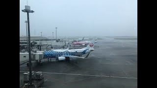Plane Spotting LIVE！ Okinawa Naha International Airport 05/23/2024