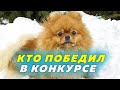 Итоги конкурса. Репост в ВК. Кто победил