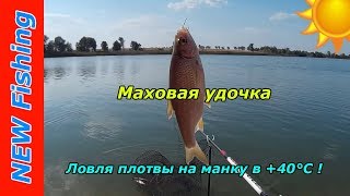 Маховая удочка. Ловля плотвы на манку в +40°C!