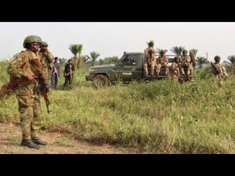 06 01 25 The Truth Hurts Antony Mwalushayi Recalled In Kinshasa Luboya Nkashama In Danger Of Death 