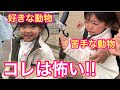 【号泣】コレは怖い！好きな動物と苦手な動物
