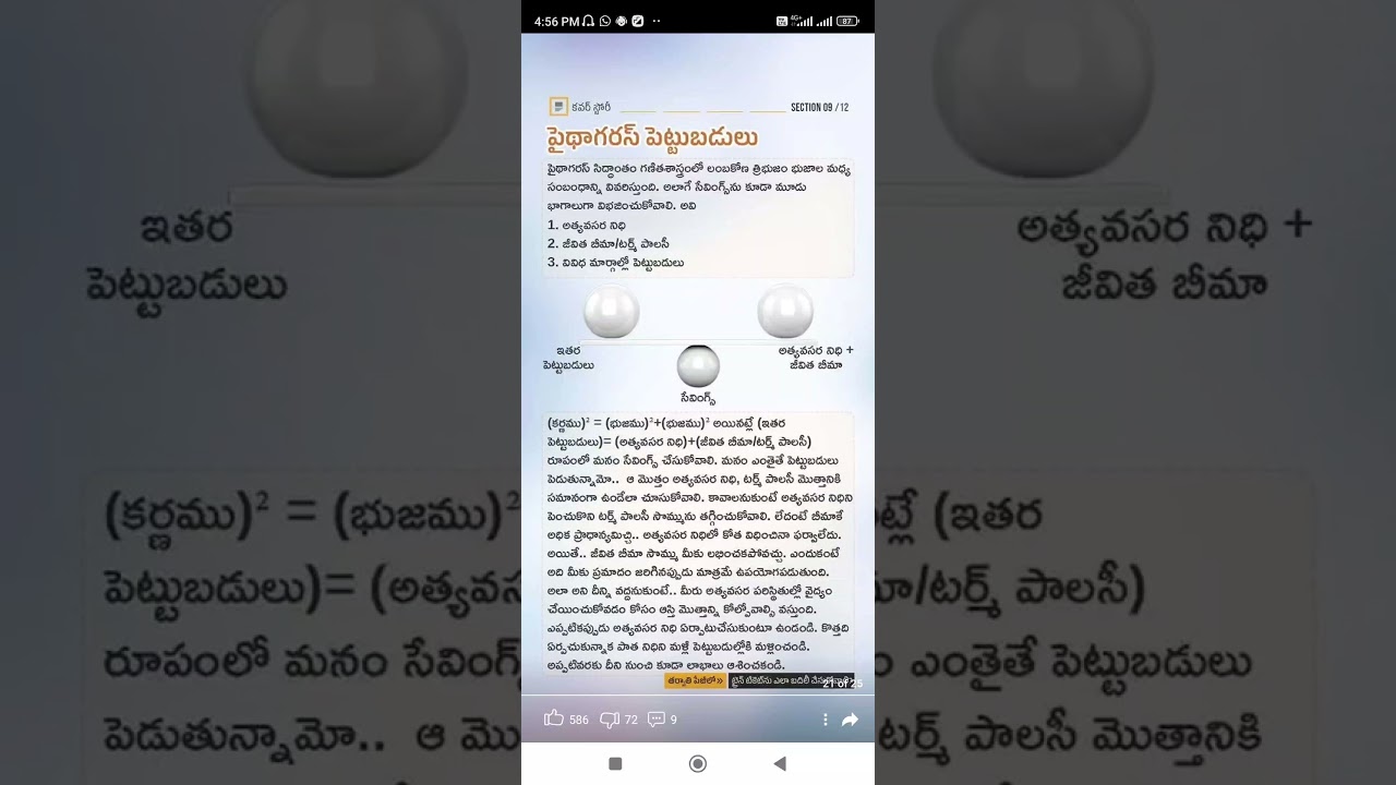 pythagoras investment management #Shorts #Short #Viral #TeluguAUTOnews  #Telugu #reels - YouTube