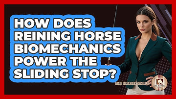 How Does Reining Horse Biomechanics Power The Sliding Stop? - The Horses Stable