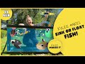 Kylee Makes Sink or Float Fish | Make DIY Water Toys | Play Sink or Float | Science for Kids Game