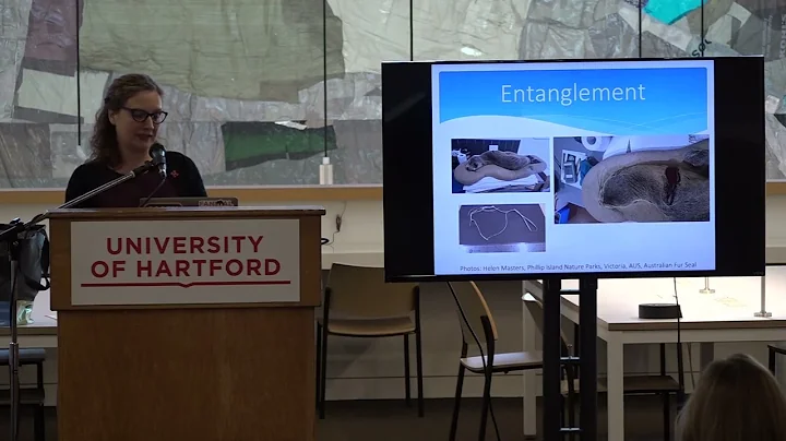 Kat Owens Presentation of Entangled and Ingested a...