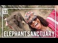 ELEPHANT SANCTUARY CHIANG MAI 2018 PT.1 | THAILAND VLOG