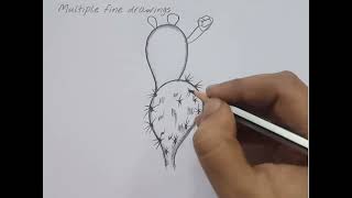 Opuntia Diagram How To Draw Opuntia Diagram Opuntia Drawing