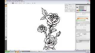 Vector Rose Speed Drawing - Illustrator