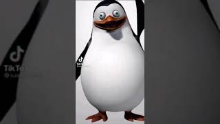 Los Pingüinos Me La Van A Mascar