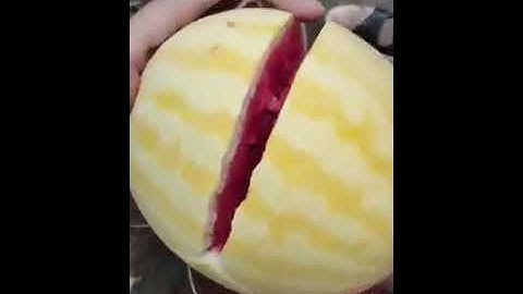 آيات بينات من سورة الرحمن