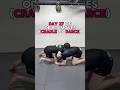 Day 27 of OP BJJ moves (Cradle to Darce)