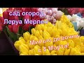 С праздником, милые дамы! Леруа Мерлен Екатеринбург