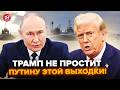 🤯Жарти СКІНЧИЛИСЬ! Трамп ЖОРСТКО ВЗ’ЇВСЯ на РФ: миру НЕ БУДЕ? Озвірілий Путін підняв ЯДЕРНИЙ ФЛОТ