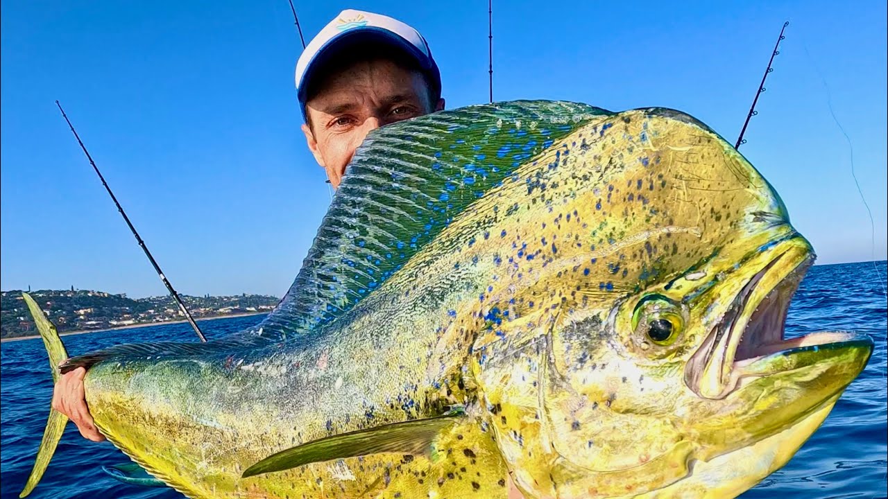 Неделя каякинга в Южной Африке