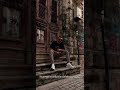 Рыночные отношения- районы.
