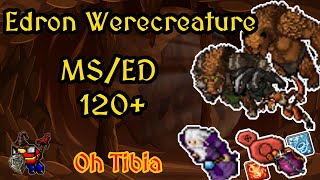 SOLO MS/ED 120+ WERECREATURE 2.5KK/H 150% - 150K+ PROFIT